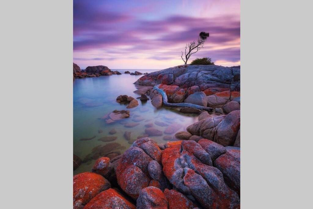 The Tin Shed Couples Accommodation At Bay Of Fires Binalong Bay Exterior foto