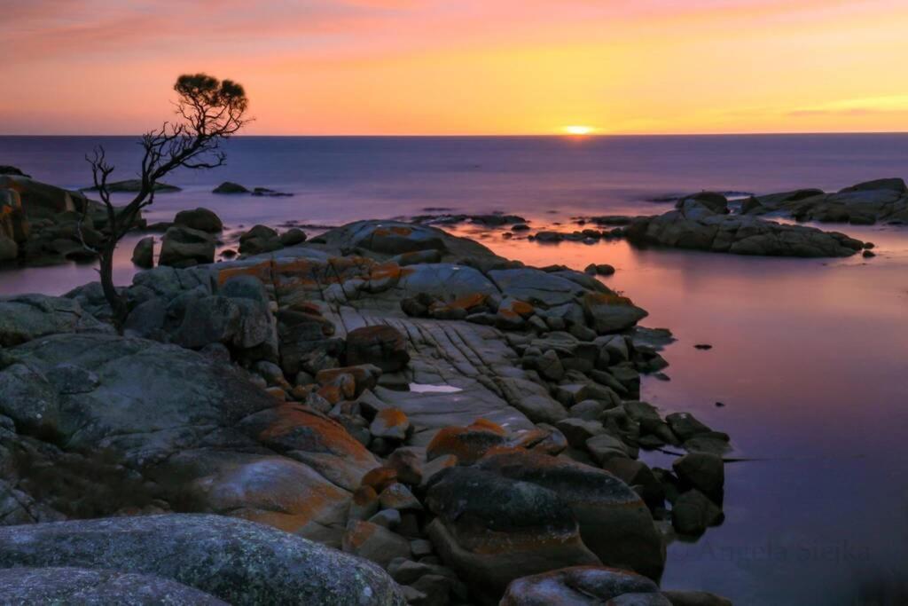 The Tin Shed Couples Accommodation At Bay Of Fires Binalong Bay Exterior foto